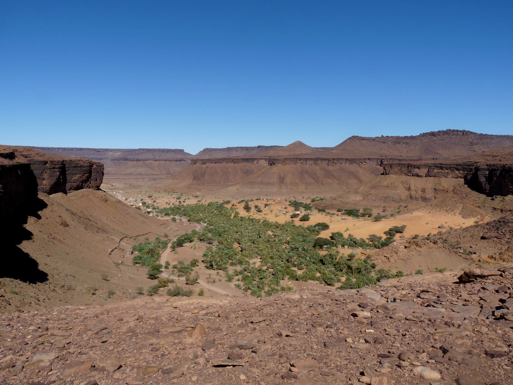 Terjit oasis palms in the Adrar mountains